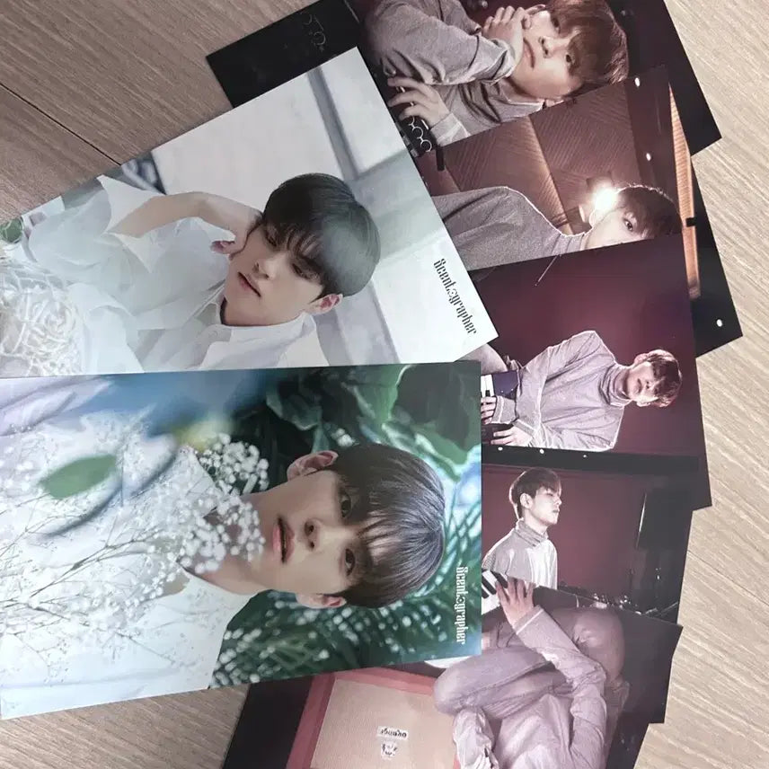 [BUNJANG] DAY6 Wonpil Bundle Set / 데이식스 원필 일괄 판매중