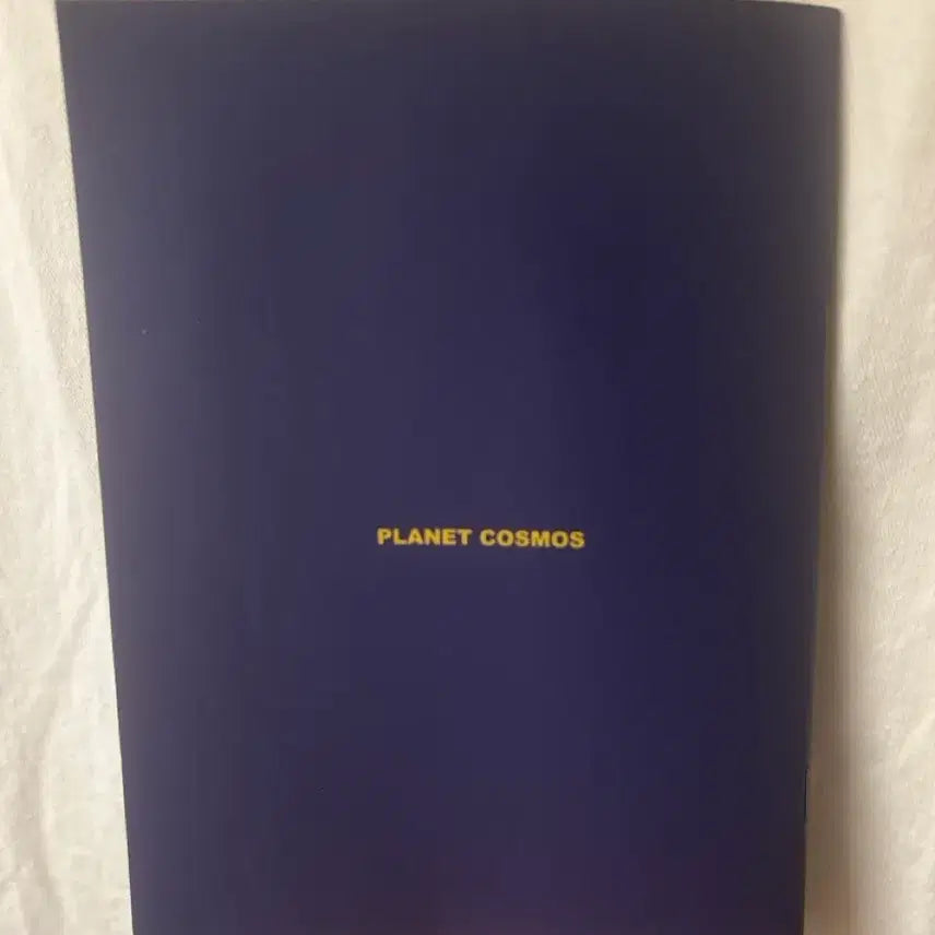 [BUNJANG] Park Woojin Wanna One AB6IX Monthly Planner Diary / 워너원 박우진 먼슬리 플래너 다이어리 홈마 에이비식스 ab6ix