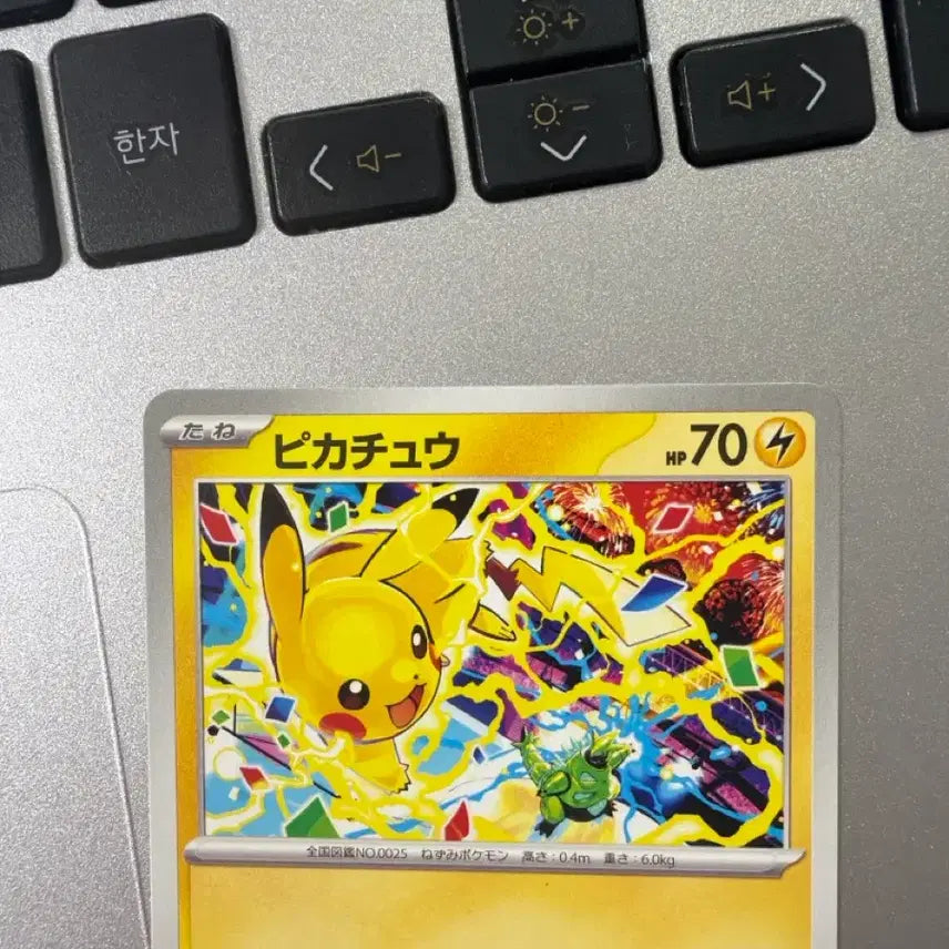 [BUNJANG] Pokemon Card Pikachu 291/SV-P Gym Promo / 포켓몬카드 291/SV-P 피카츄 짐프로모