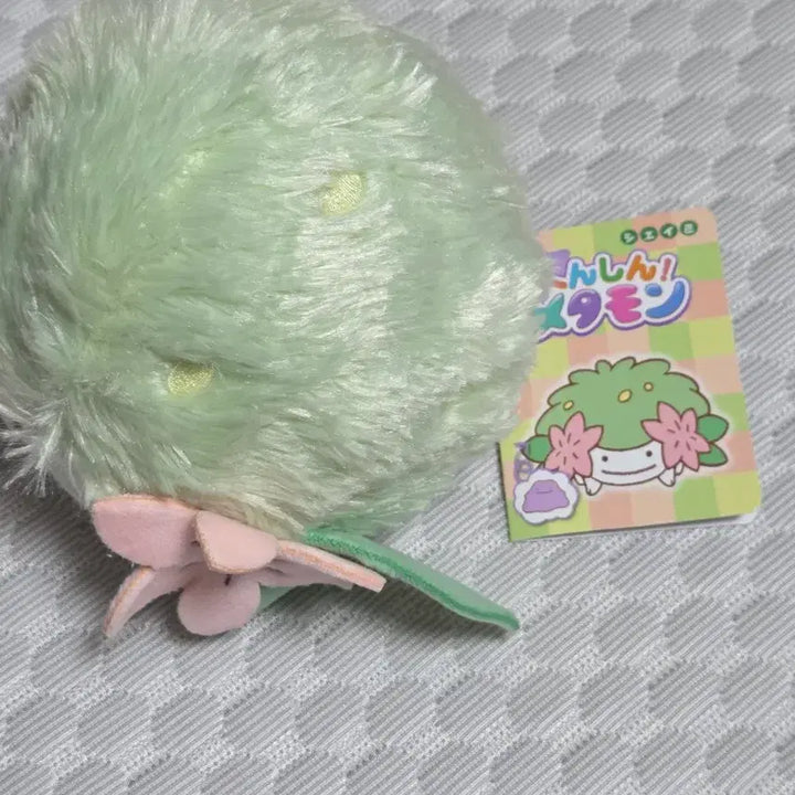 [BUNJANG] Pokemon Metamon Metamong Playground Transform! Shaymin Plush / 포켓몬스터 메타몽 놀이터 변신! 메타몽 쉐이미 봉제인형
