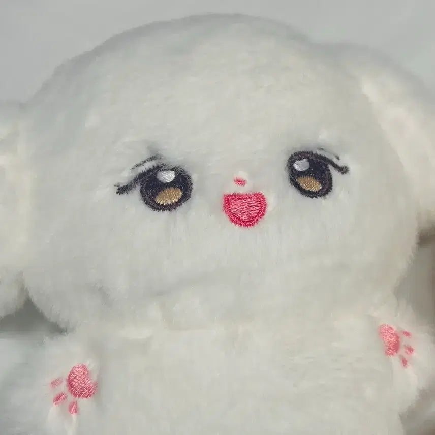 [BUNJANG] Park Ji Hoon "Baktokki" 10cm Doll Bundle Set / 박지훈 비공굿인형 박토낑 물욕이 일괄판매