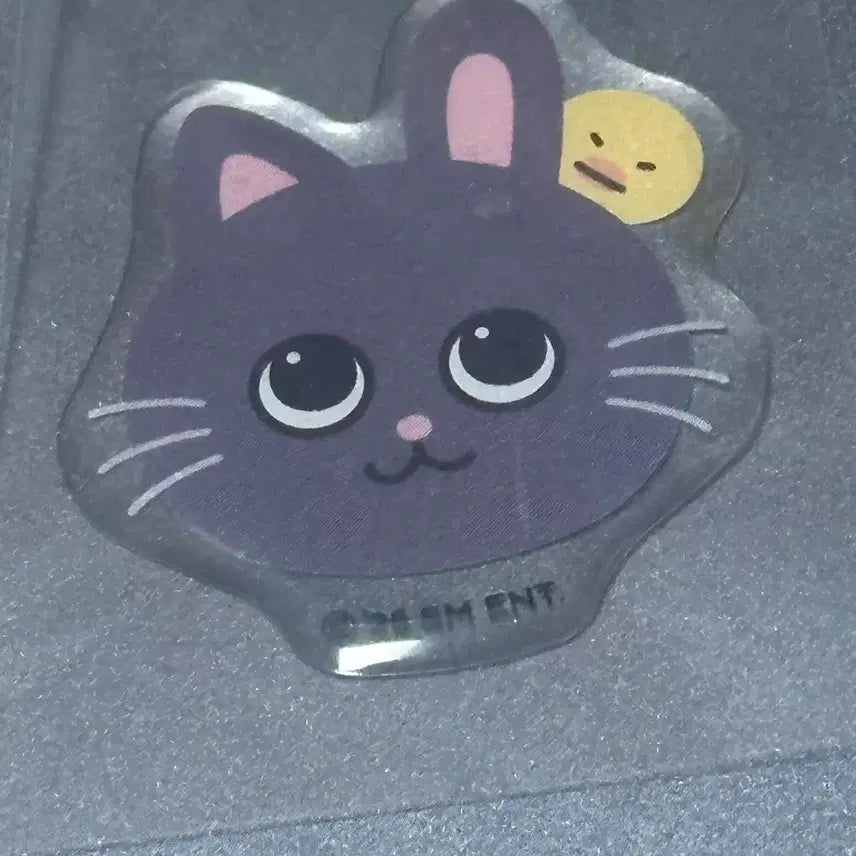 [BUNJANG] RIIZE CU Wonbin Macaron Epoxy Sticker / 라이즈 CU 씨유 원빈 토냥덕 마카롱 에폭시 스티커