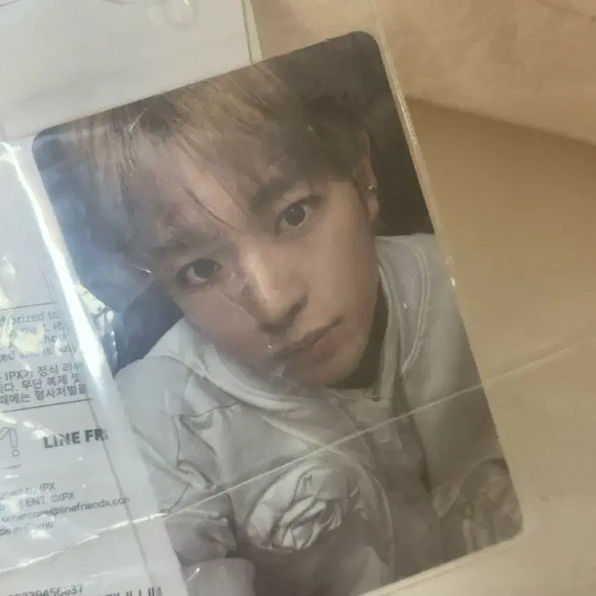 [BUNJANG] NCT WISH Wishiniini Cushion Photocard Yushi / 엔시티위시 위시니니 쿠션 포카 양도 유우시