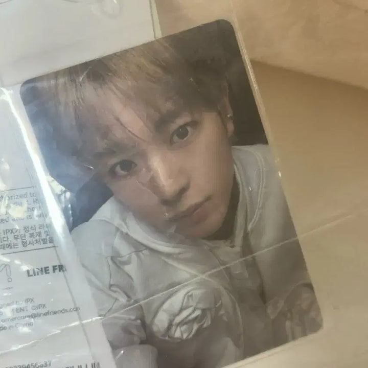 [BUNJANG] NCT WISH Wishiniini Cushion Photocard Yushi / 엔시티위시 위시니니 쿠션 포카 양도 유우시