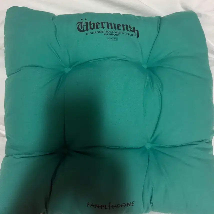 [BUNJANG] G-Dragon Cushion / 지드래곤 방석