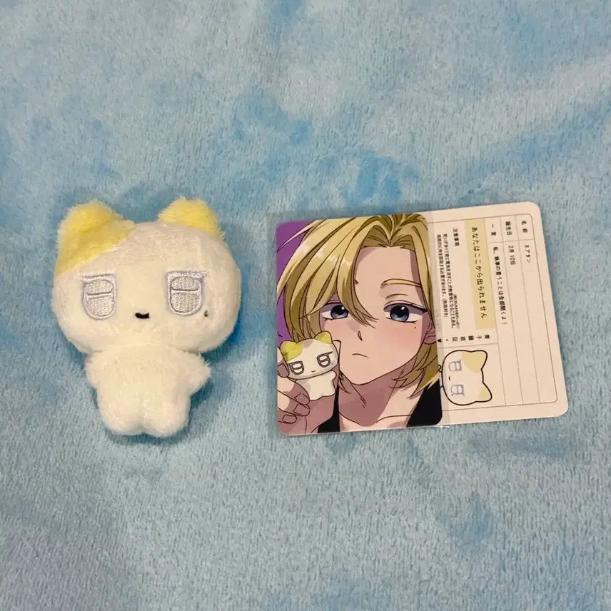 [BUNJANG] PLAVE Noah Plush Doll / 플레이브 비공식 인형 플부땅 노아