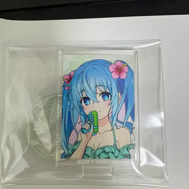 [BUNJANG] Date A Live Natsumi Big Acrylic Stand &amp; Standard Acrylic with Frame / 데이트 어 라이브 V 데이트 바캉스 Ver. 나츠미 빅 아크릴 세트