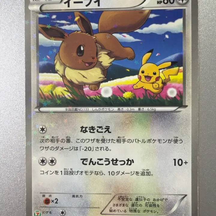 [BUNJANG] Pokemon Card Eevee Seven-Eleven Promo / 포켓몬 카드 이브이 세븐일레븐 프로모