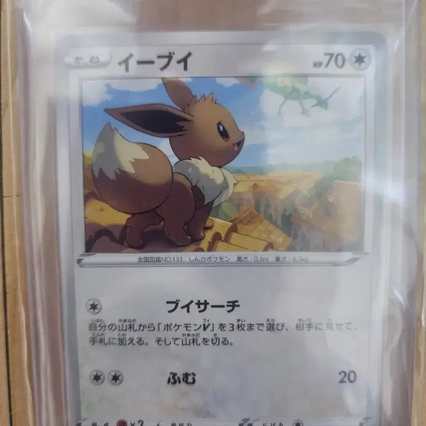 [BUNJANG] Pokemon Card Japanese Eevee (for Deck) / 포켓몬카드 일판 이브이 등카용