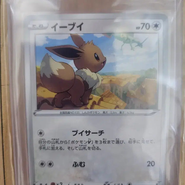 [BUNJANG] Pokemon Card Japanese Eevee (for Deck) / 포켓몬카드 일판 이브이 등카용