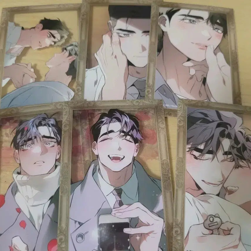 [BUNJANG] Toonique DTR Clear Photocard Set (6 Types) / 투니크 디티알 클리어포카 6종