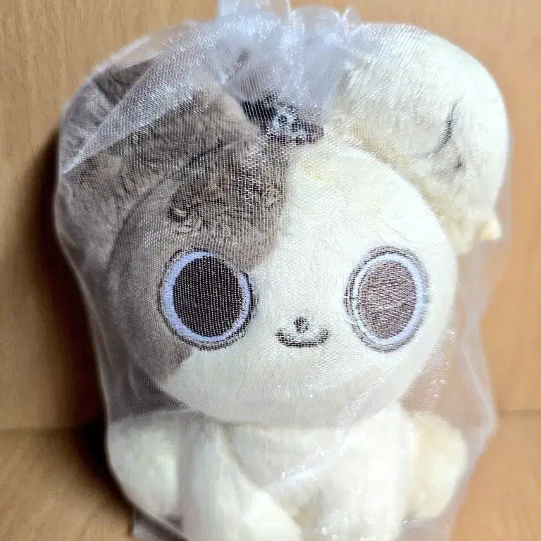 [BUNJANG] ENHYPEN Ej 20cm Doll "Meong Ej" / 앤팀 의주 인형 멍이쭈 양도