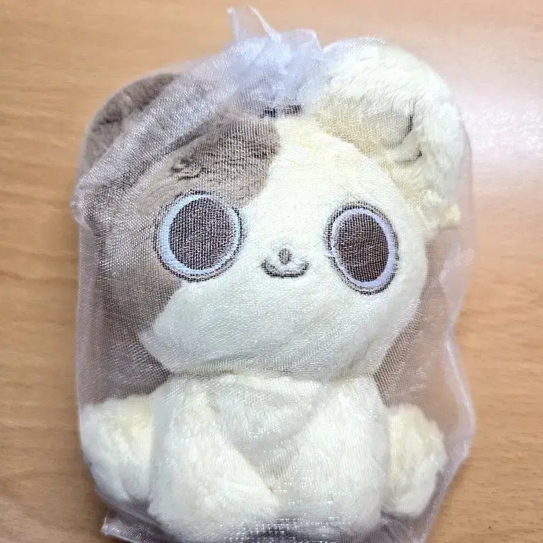 [BUNJANG] ENHYPEN Ej 20cm Doll "Meong Ej" / 앤팀 의주 인형 멍이쭈 양도