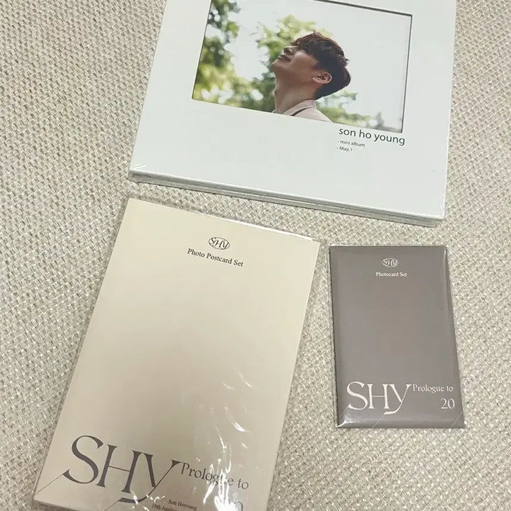 [BUNJANG] g.o.d. Danny Ahn 20th Anniversary Exhibition Photocard &amp; Postcard Mini Album Bundle Set (Sealed) / 지오디 손호영 포카&amp;엽서 미니앨범 미개봉 일괄