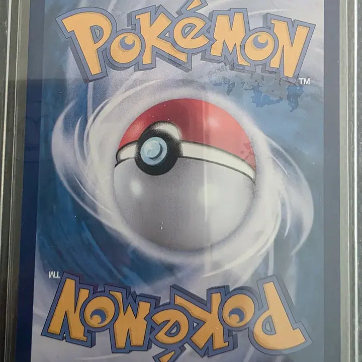 [BUNJANG] Pokemon Card SuicuneV SAR 215/172 / 포켓몬 카드 스이쿤V SAR 215/172