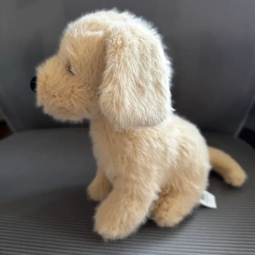 [BUNJANG] Jellycat Golden Puppy Plush Toy / jellycat 골든 퍼피 젤리캣 정품