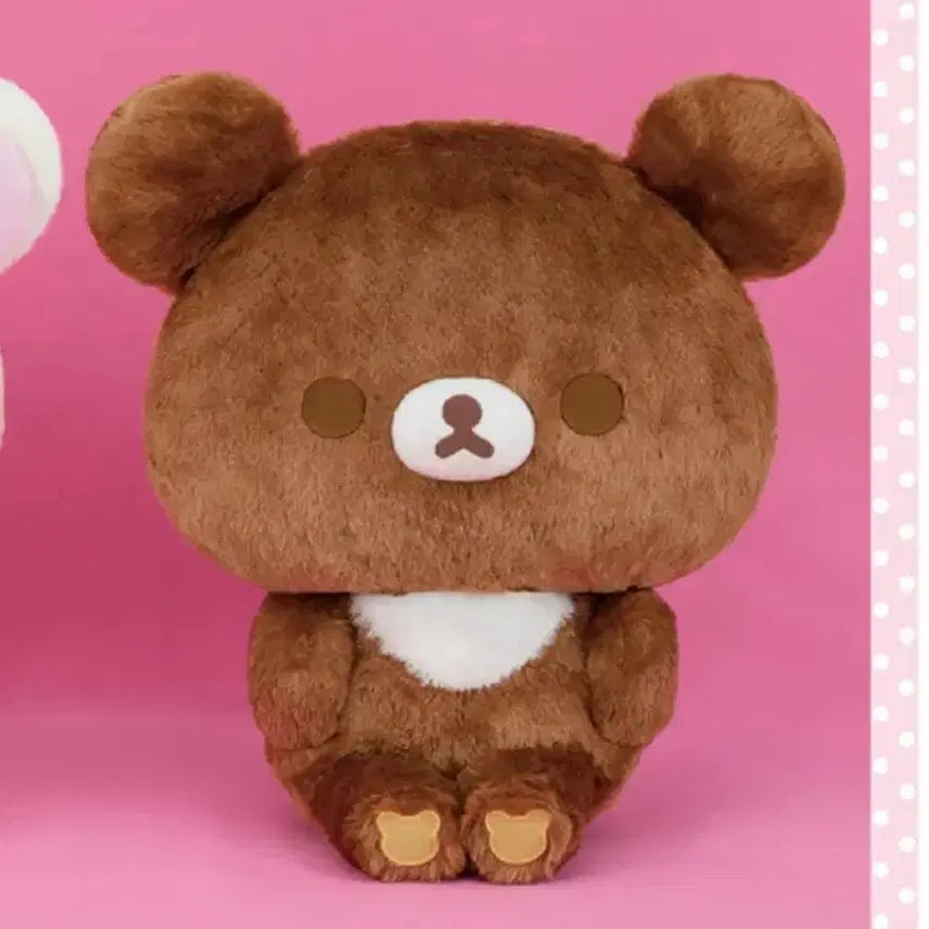 [BUNJANG] San-X Chairoikoguma Big Face XL Plush 36cm / 산엑스 차이로이코구마 빅 페이스 XL 대형 인형 36cm