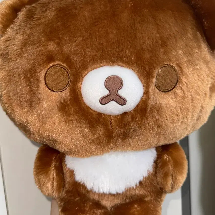 [BUNJANG] San-X Chairoikoguma Big Face XL Plush 36cm / 산엑스 차이로이코구마 빅 페이스 XL 대형 인형 36cm