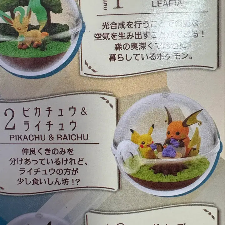 [BUNJANG] Re-Ment Pokémon Terrarium Collection - Pikachu &amp; Raichu / 포켓몬 리멘트 테라리움 컬렉션 라이츄 피카츄