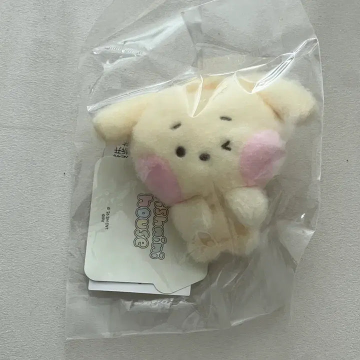 [BUNJANG] NCT WISH Wishnini Dangtree Pouch Magnet (Unsealed) / 개봉상품 엔시티위시 위시니니 댕트리니 마그넷