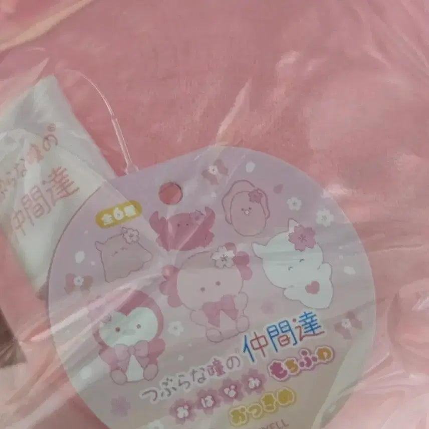 [SOLD OUT] [새상품]츠부라나 히토미 벚꽃 펭귄 인형