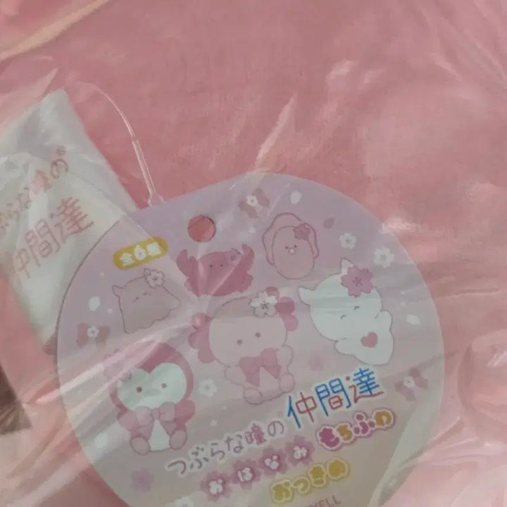 [SOLD OUT] [새상품]츠부라나 히토미 벚꽃 펭귄 인형
