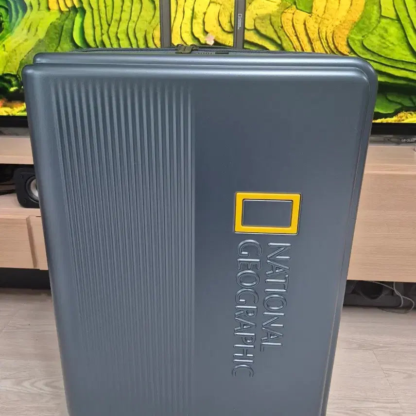 [BUNJANG] National Geographic Page 28-Inch Cargo Suitcase with Flight Cover (New) / 내셔널지오그래픽 캐리어 페이지 28인치 화물용 + 항공커버 새제품