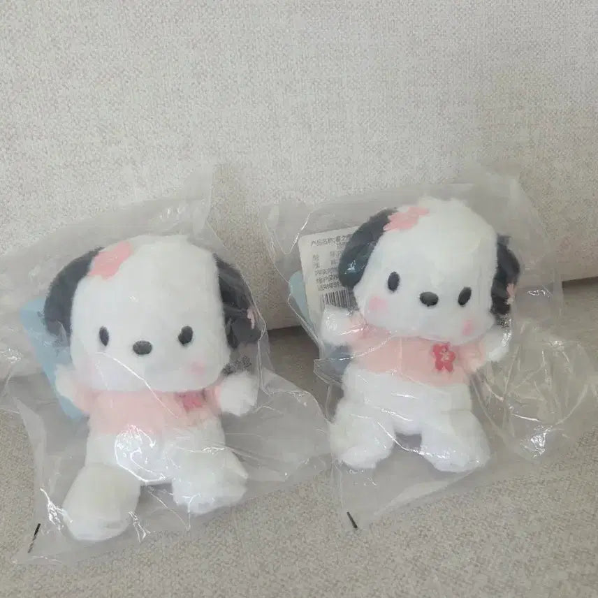 [BUNJANG] Sanrio Pochacco Cherry Blossom Edition Plush Doll / (새상품) 산리오 벚꽃 포차코