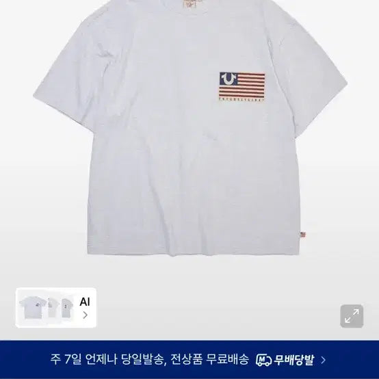 [BUNJANG] True Religion Old Glory Mélange Grey Short Sleeve T-Shirt L / 트루릴리젼 올드 글로리 멜란지 그레이 반팔 티셔츠 L