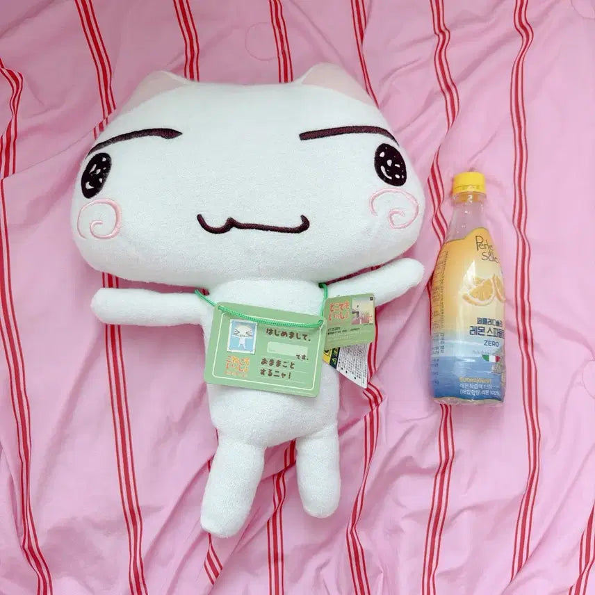 [BUNJANG] Dokodemo Issyo Toro Large Plush Doll / 도코데모잇쇼 아기토로 대형 인형