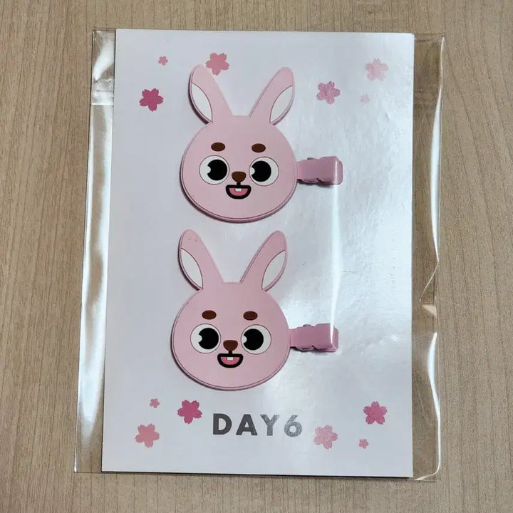 [BUNJANG] Day6 Yokohama Hairpin Pil / 데이식스 요코하마 헤어핀 필