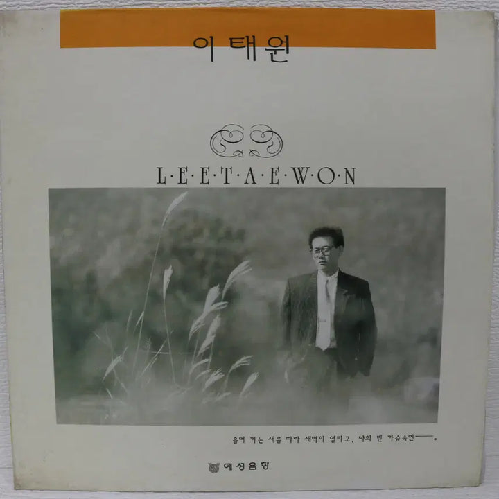 [BUNJANG] Lee Taeyong &