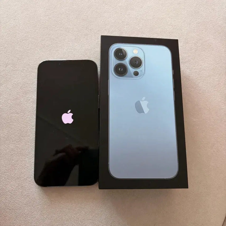 [BUNJANG] Apple iPhone 13 Pro 256GB Sierra Blue / 아이폰13프로