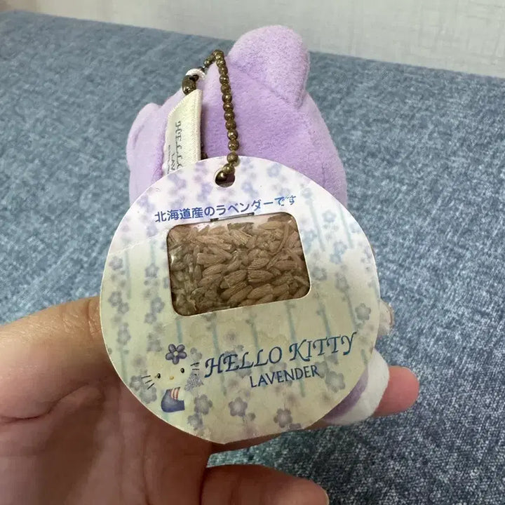 [SOLD OUT] 헬로키티 고전 라벤더 곰돌이 인형 판매중