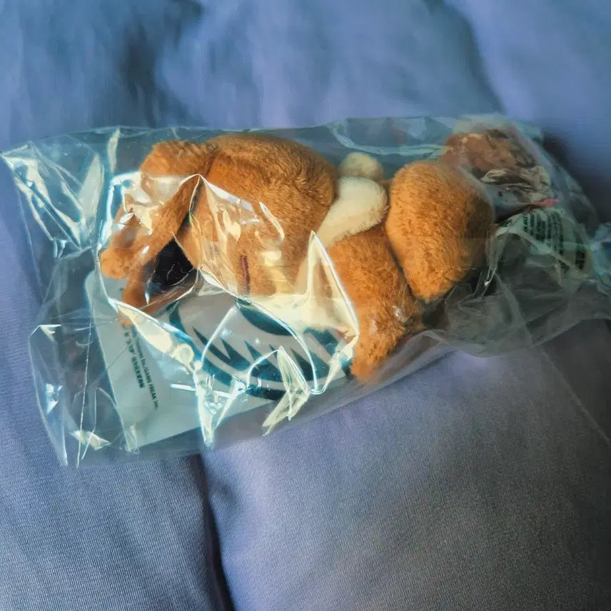 [BUNJANG] Pokemon Eevee Metamon Transformation Keyring Plush Mascot / 변신 메타몽 키링 인형 마스코트 포켓몬 이브이