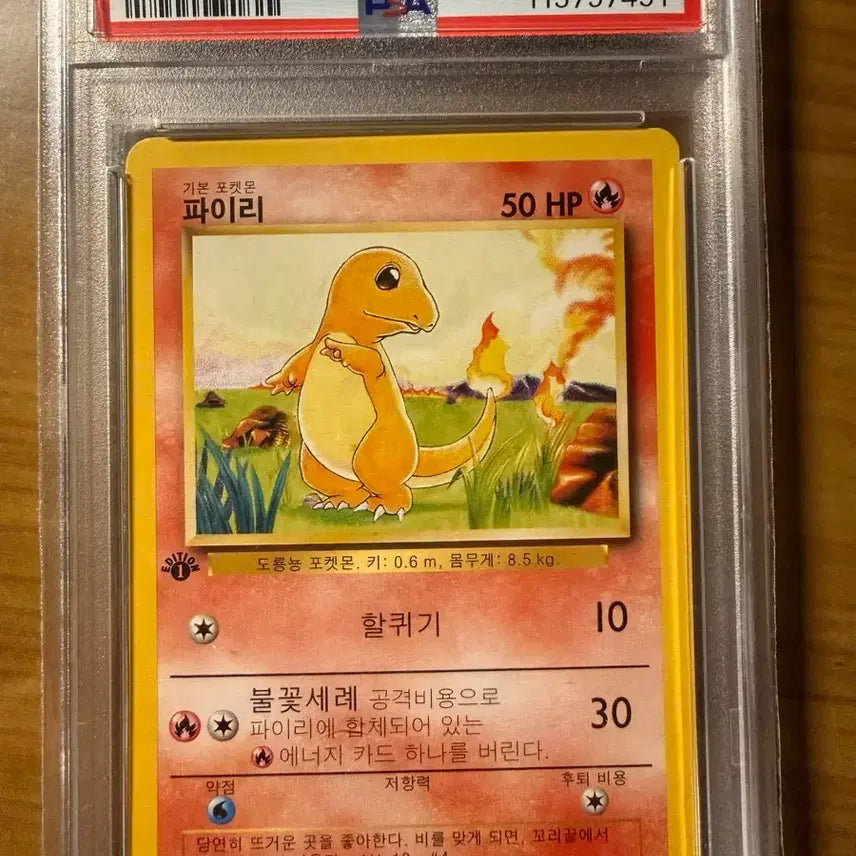 [BUNJANG] Pokemon First Edition Charizard, Vulpix Graded Card PSA 8 / 포켓몬스터 등급카드 한글 초판 파이리,가디 PSA 8
