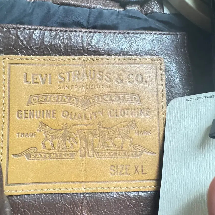 [BUNJANG] Levi&