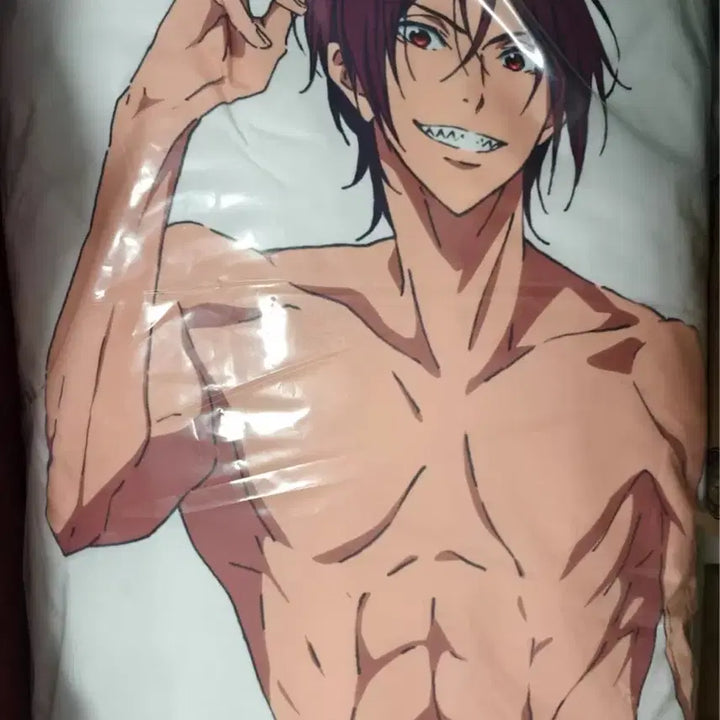 [BUNJANG] Free! Matsuoka Rin Dakimakura Cushion 180cm / 팝마트 쿠지 프리!free! 마츠오카 린 다키마쿠라 쿠션 쿠지