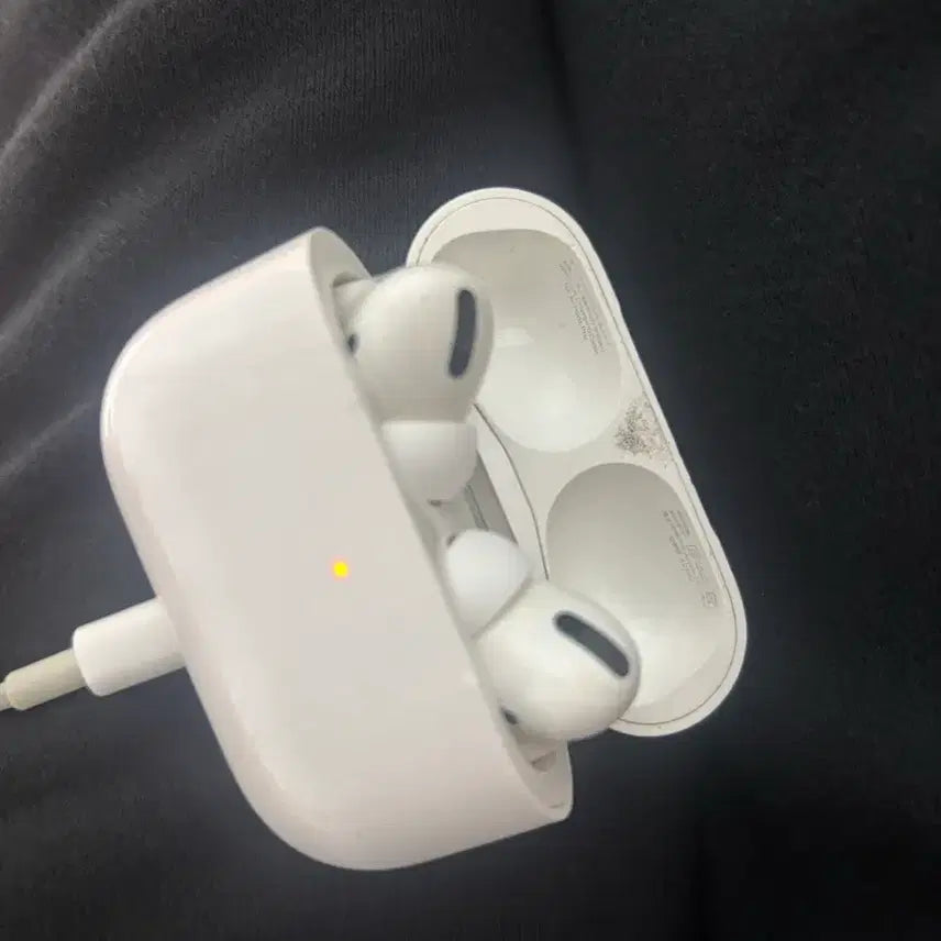 [BUNJANG] Apple AirPods Pro (1st Generation) / 에어팟 프로 1