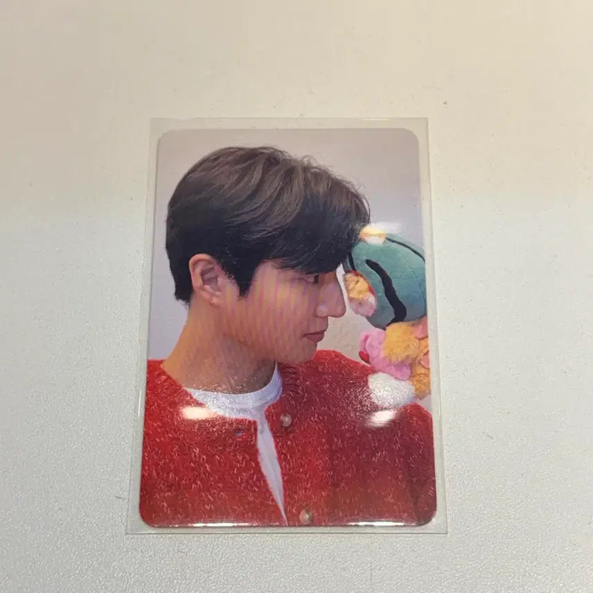 [BUNJANG] Day6 Young K Gwangju Offline Photocard / 데이식스 영케이 광주 오프라인 포카 양도