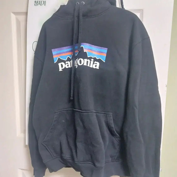 [BUNJANG] Patagonia Hoodie (Size L) / 파타고니아 후드티 팝니다