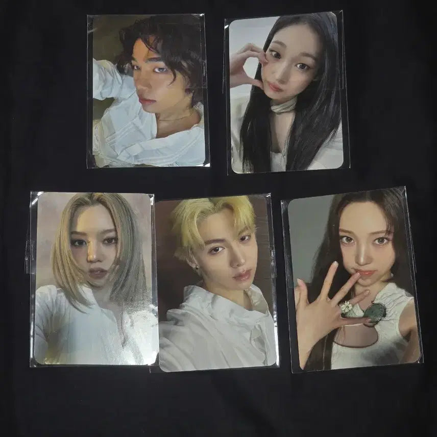 [SOLD OUT] 올데프 이브로쉐 포카 포토카드 일괄