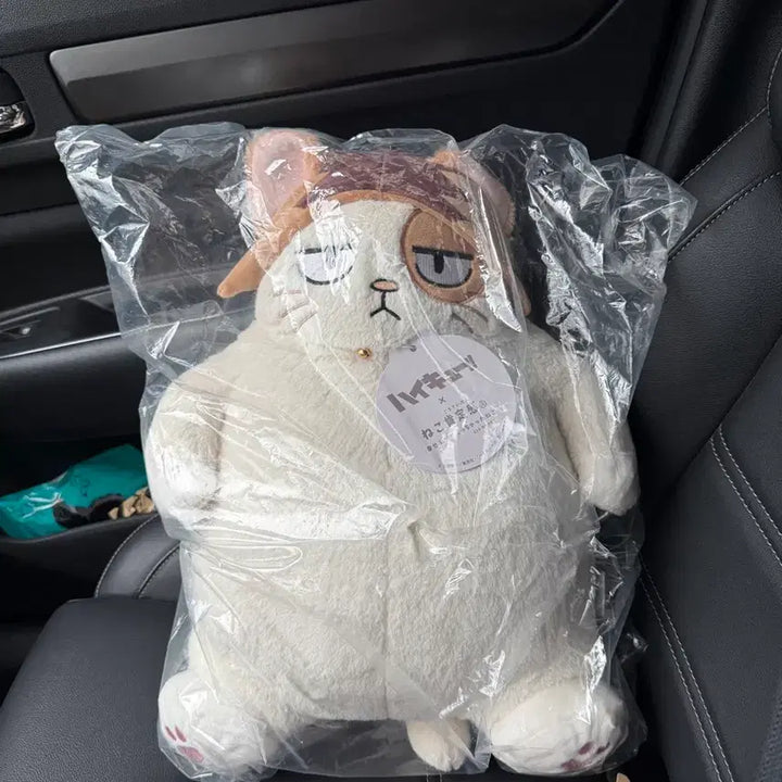 [SOLD OUT] 하이큐 켄마 네코 코우테이칸 인형