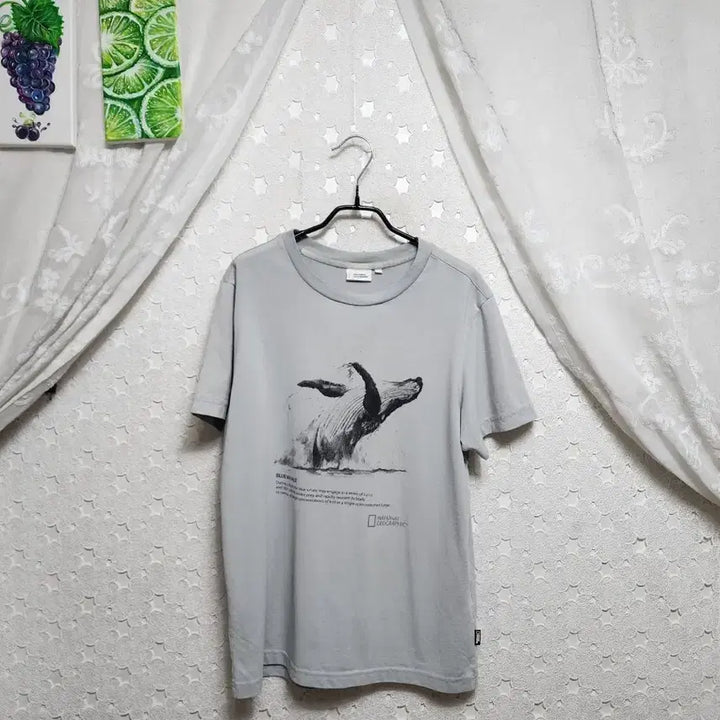 [SOLD OUT] 내셔널지오그래픽 반팔티 공용95