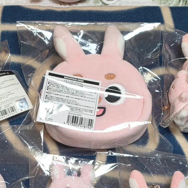 [BUNJANG] DAY6 Japan Face Pouch Phil / 데이식스 일본 페이스파우치 필 데멀 필끼