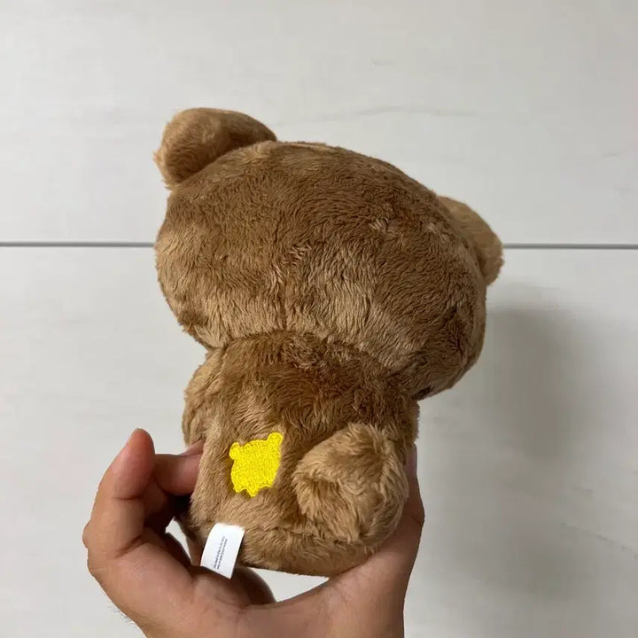[BUNJANG] Koguma 2022 San-X Plush / 일본 코구마 2022 산엑스 인형