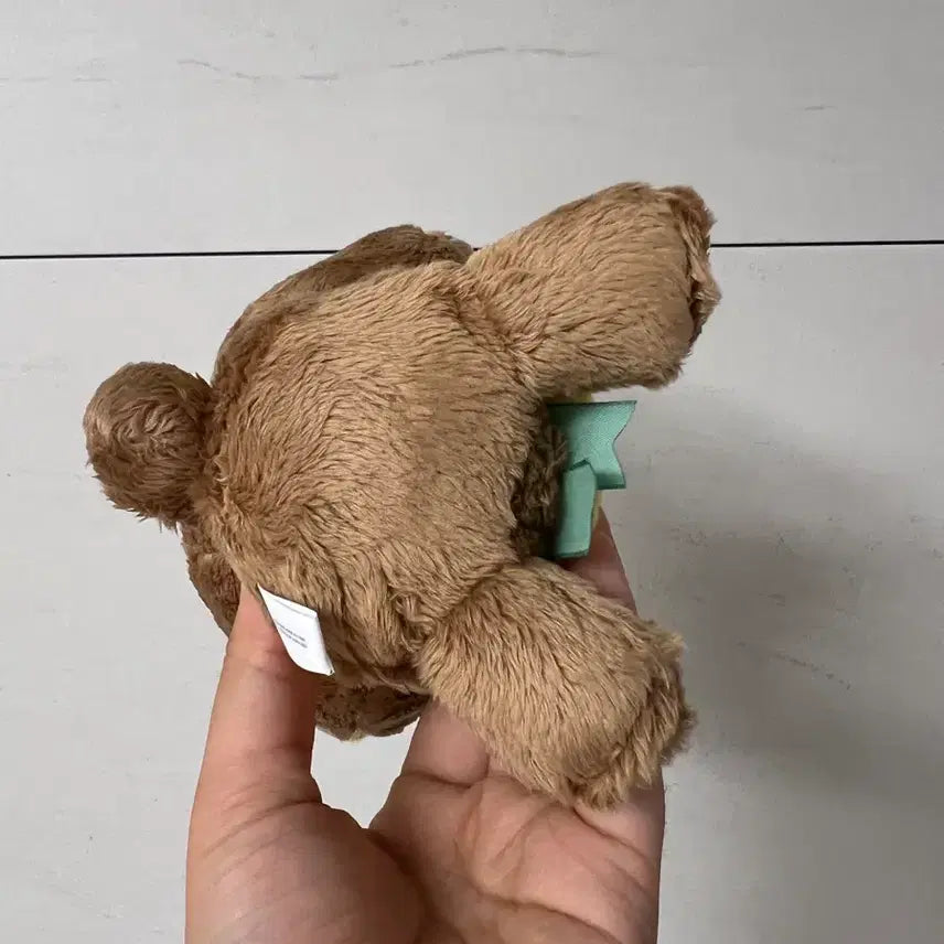 [BUNJANG] Koguma 2022 San-X Plush / 일본 코구마 2022 산엑스 인형