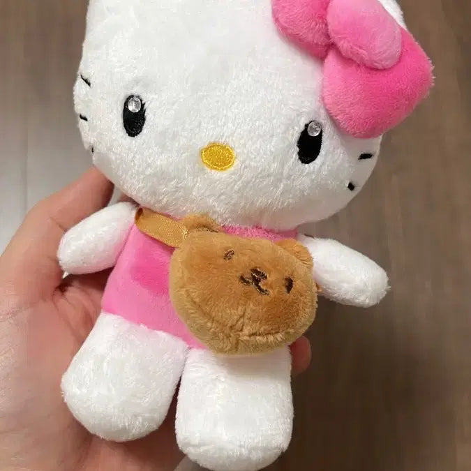 [BUNJANG] Sanrio Pink Hello Kitty Tiny Charm Crossbody Bag Doll Keychain / 산리오 분홍 핑크 헬로키티 타이니참 크로스백 인형 키링