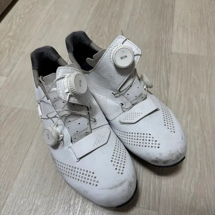 [SOLD OUT] 자이언트 서지프로 클릿슈즈
