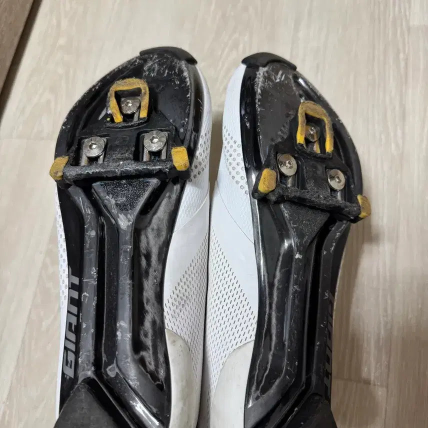 [SOLD OUT] 자이언트 서지프로 클릿슈즈